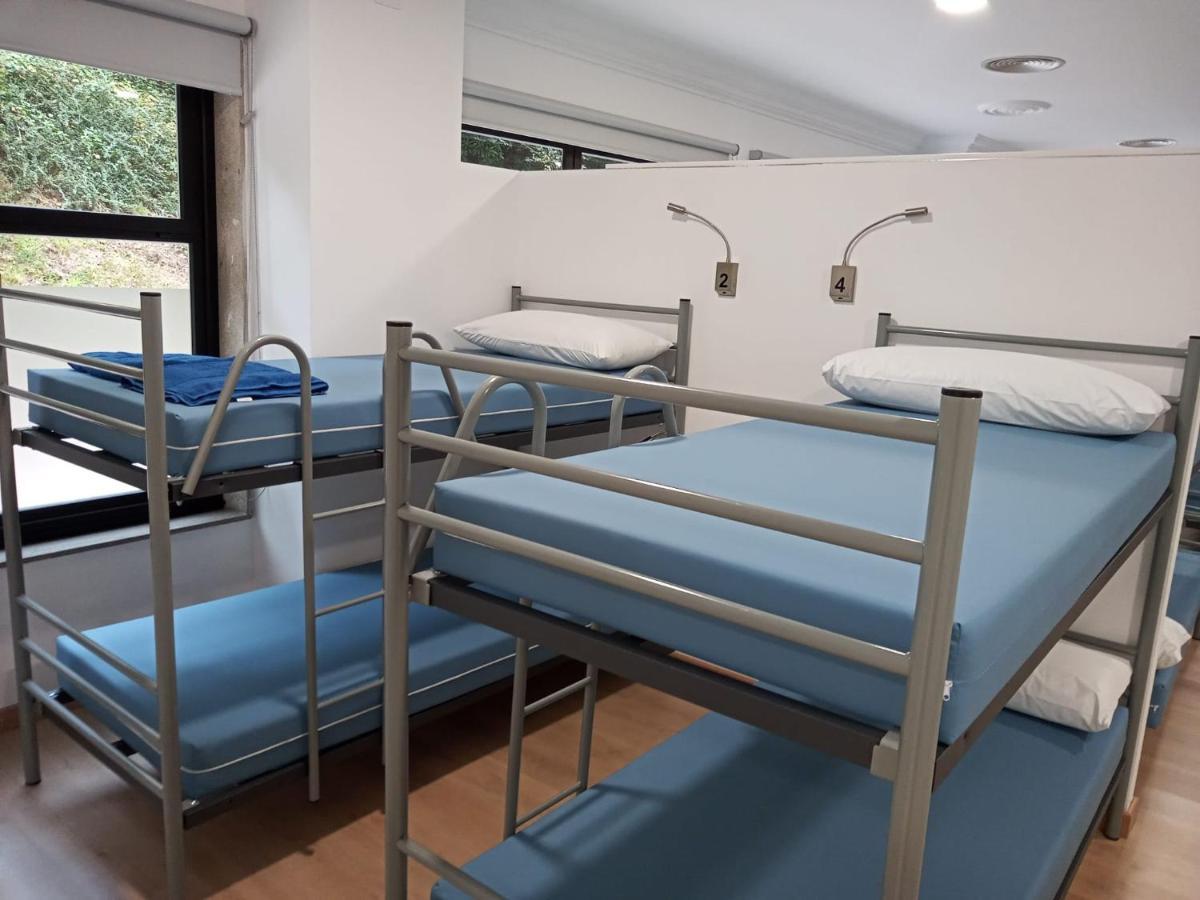 Bunk Bed in Mixed Dormitory Room,1144749071:JPEG