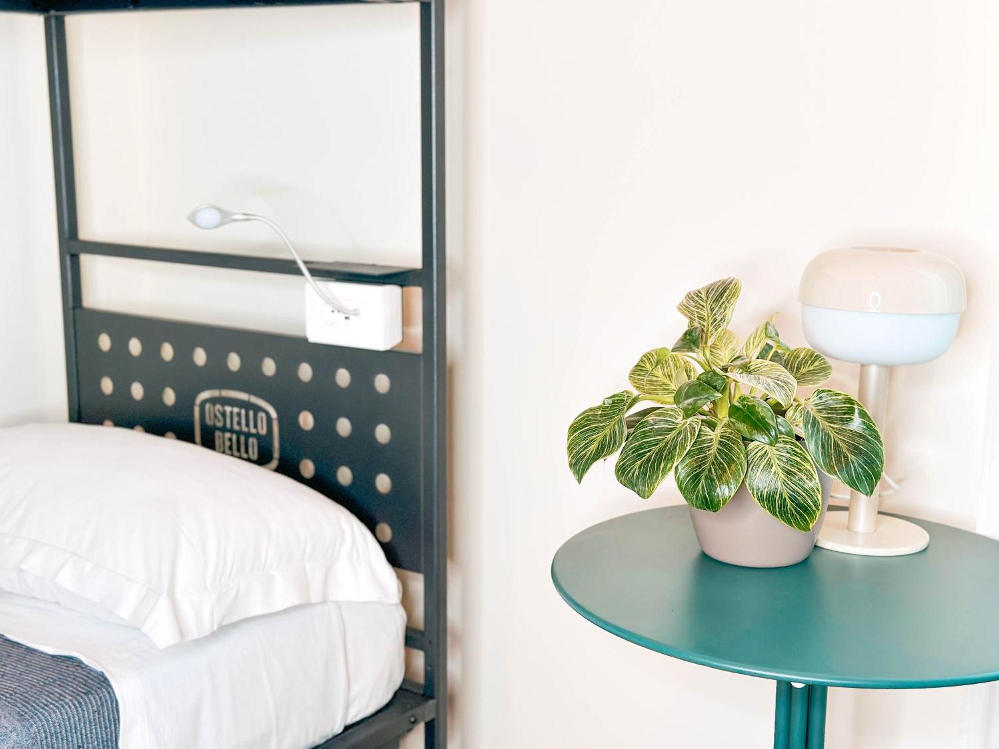 6-Bed Mixed Dormitory Room,1700760137:JPEG