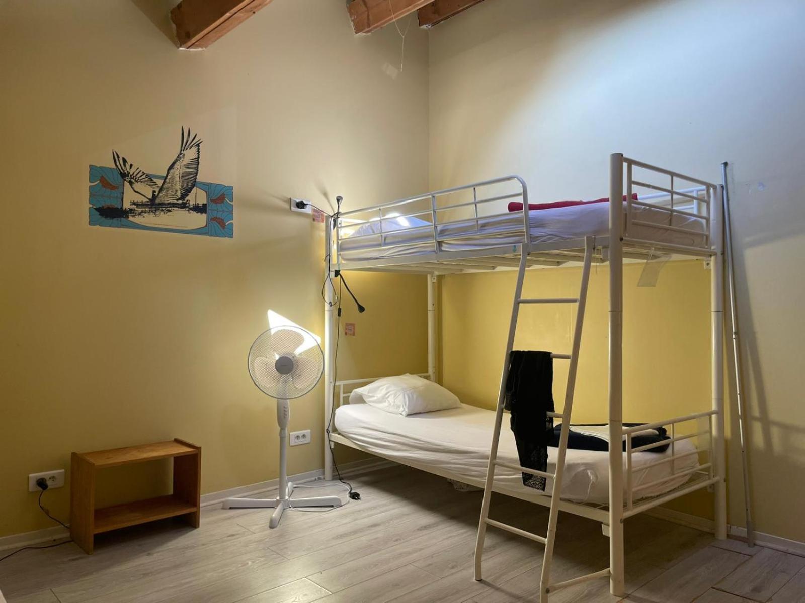 Bed 4-Bed Female Dormitory Room,1742720420:JPEG