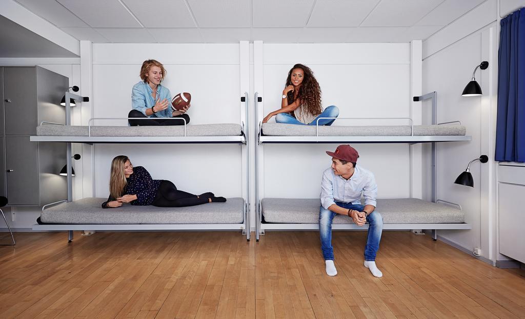 Bunk Bed in Mixed Dormitory Room,1226768527:JPEG