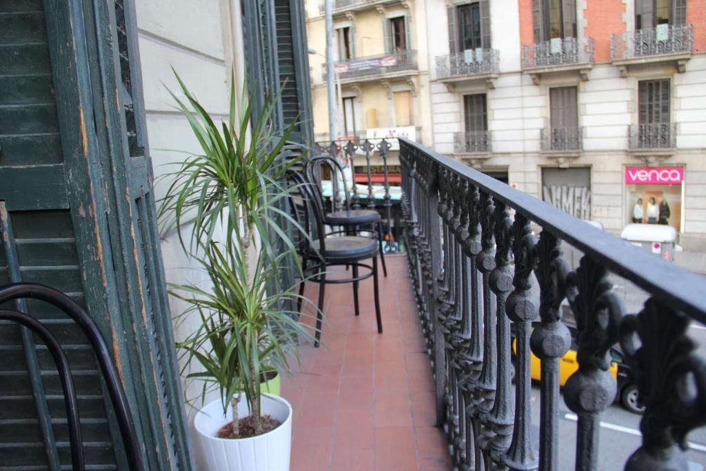Letto a Castello in Dormitorio Misto (6 Adulti)