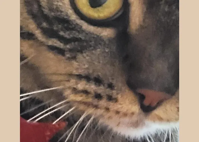 Plug Inn Montmartre By Hiphophostels Parigi