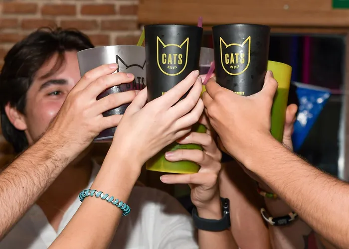 Cats Hostel Madrid Sol