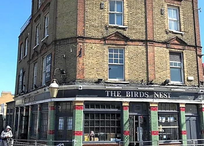 The Birds Nest Hostel Londra