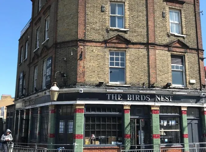 The Birds Nest Hostel Londra